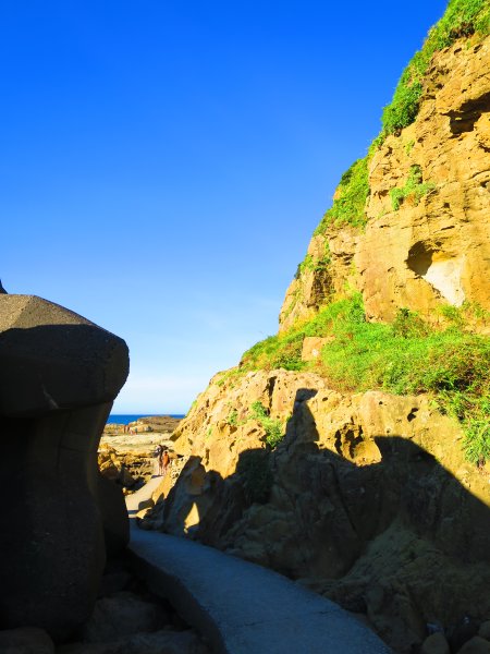 看海最美的神秘步道：到基隆大坪海岸尋找海豹岩2443156