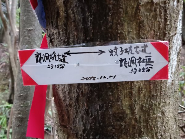 貢寮區蚊子坑古道+和美池+和美山+北勢坑古道2990878