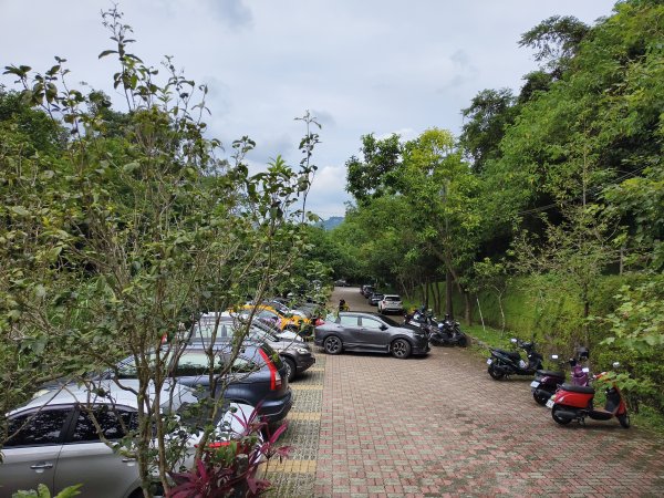 [百山百鳥尋旅-08/15] 2025_0831 大坑1號步道2876170