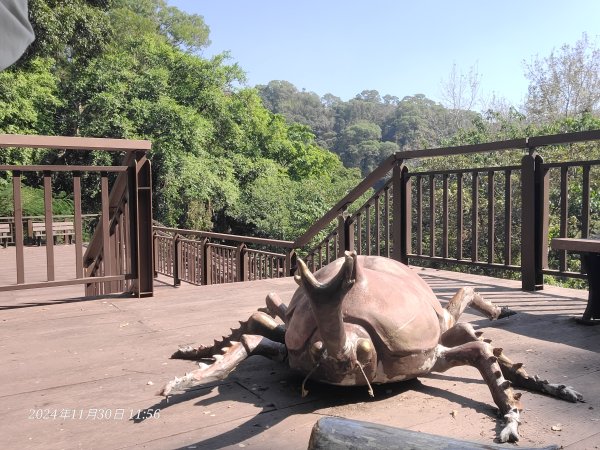 松柏坑山小百岳2729137