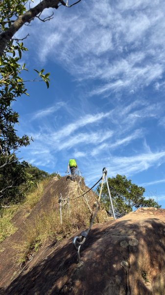 岩壁上的花、艷紅鹿子百合（12868977