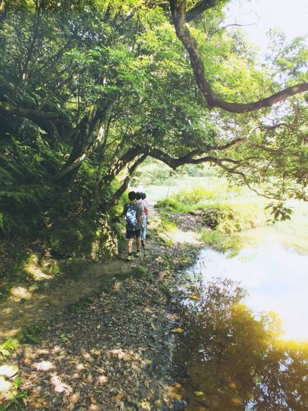 老鷹(鷲)尖山18565