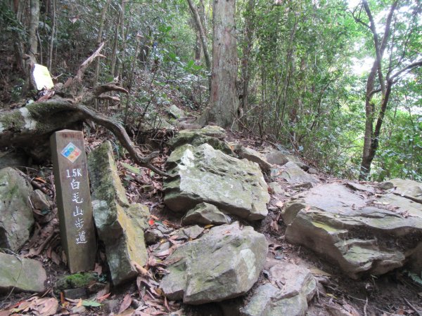 20200321-白毛山886569