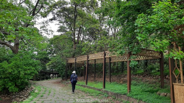 《苗栗》茶園古道｜三義登三義山慈濟山（三通嶺啟登）202404052472122