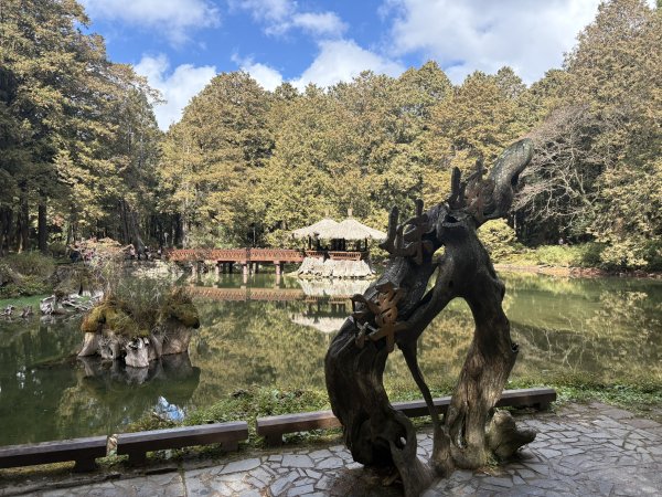 20251225塔山步道(大塔山)2970458
