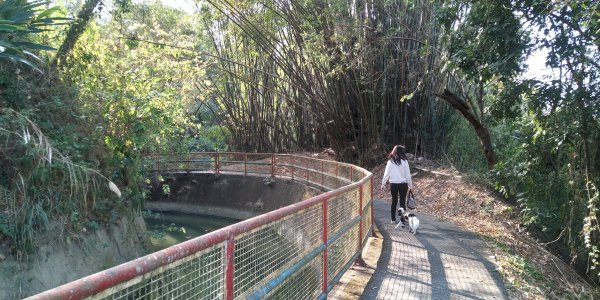 電火圳生態步道2055109