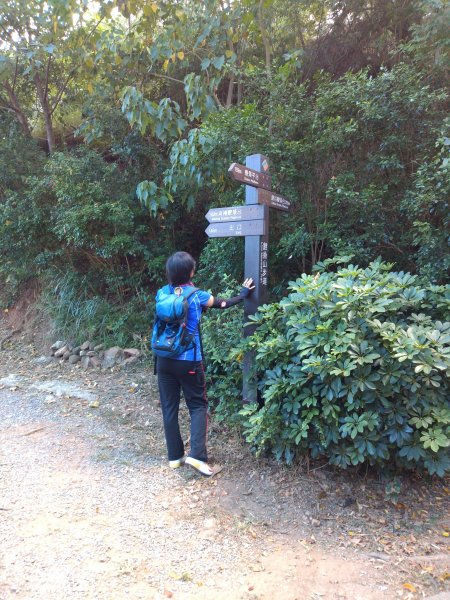 步道巡訪員 l 鯉魚山步道十月巡訪日誌1121100