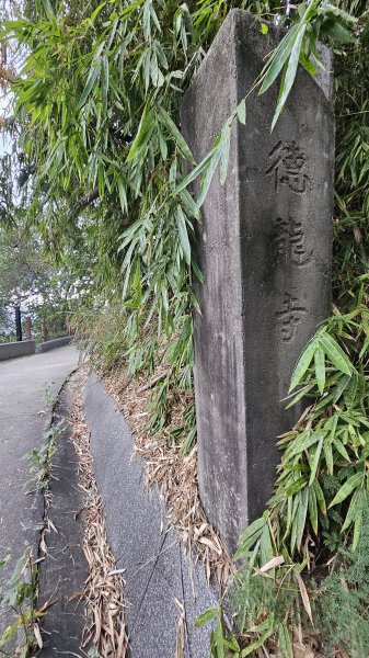 241213-小百岳#046阿罩霧山。美美兔的母校後山就是小百岳。2668479