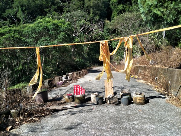 谷關七雄：屋東縱走-屋我尾山-麗陽上1491946