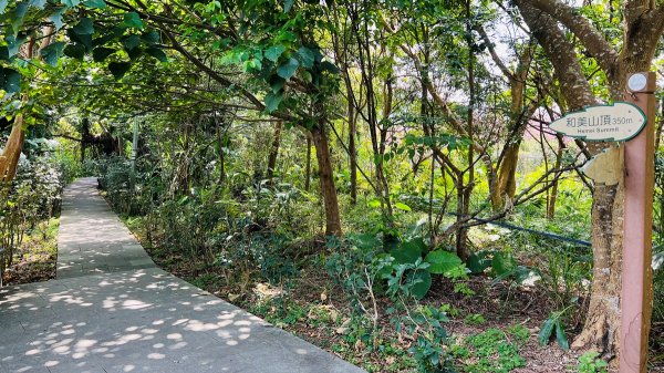 新店和美山|碧潭風景區|水岸步道悠閒散步野餐|親子新手輕鬆登頂1659696