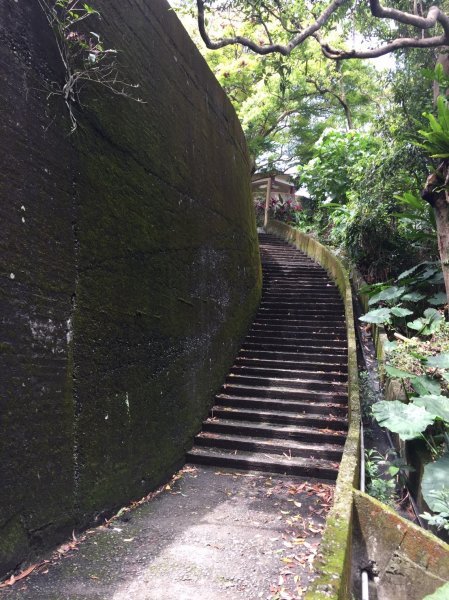 20190326 南勢角山552489