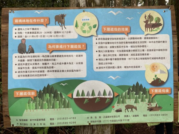 20250705-Ep.01野馬瞰山步道-2025森遊竹縣皮皮獅探險隊2851274