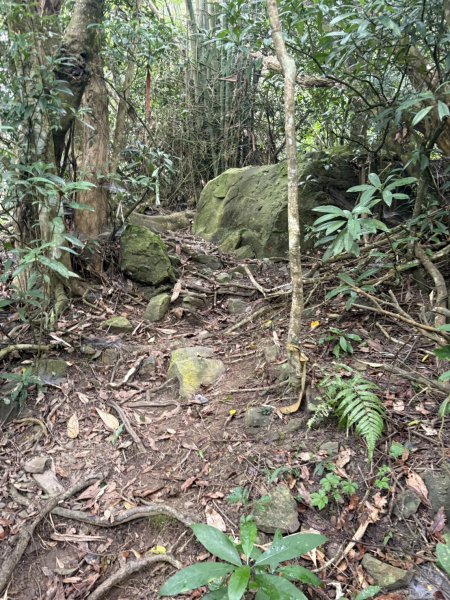 20251108白雲山步道2935199