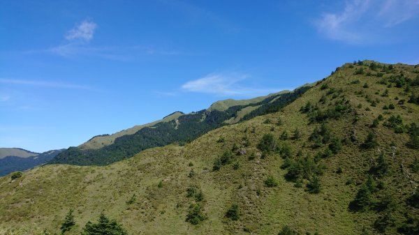 念念不忘合歡北峰1099258