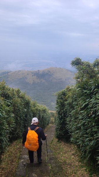 2026-0116 大屯三山_貴子坑_北投2984852