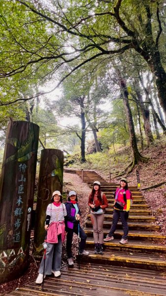 🌈3/28（六）觀霧檜山巨山步道×瀑布步道✨FB：熊熊趴爬走🌈3025238