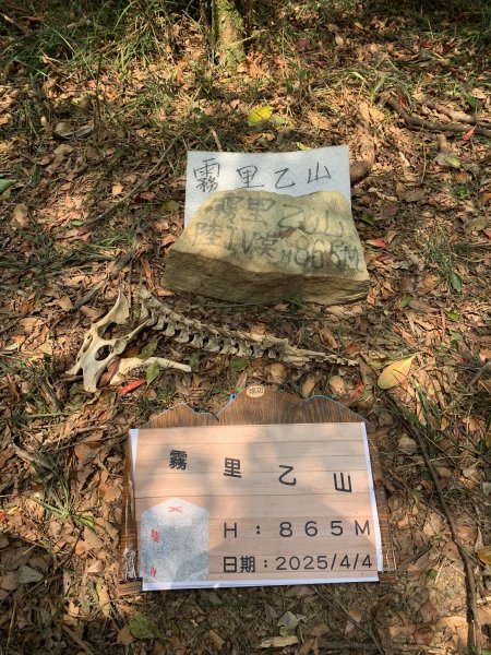 20250404屏東北獅子頭山-霧里乙山2757438