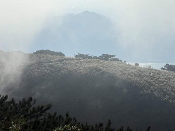 二子坪步道 經遊憩區 上面天山 202511082935054