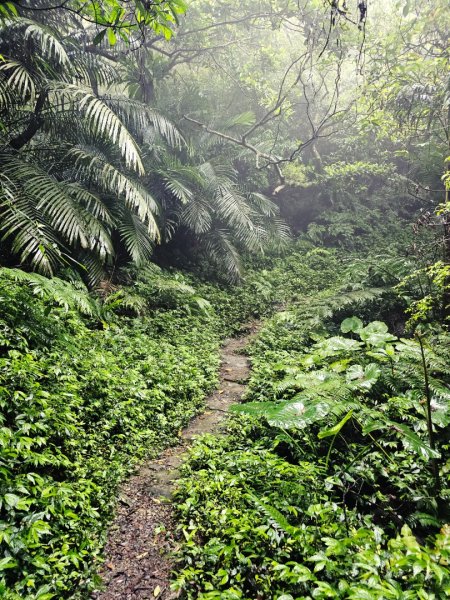2026年臺北大縱走第六段：中華科技大學至捷運麟光站3026029
