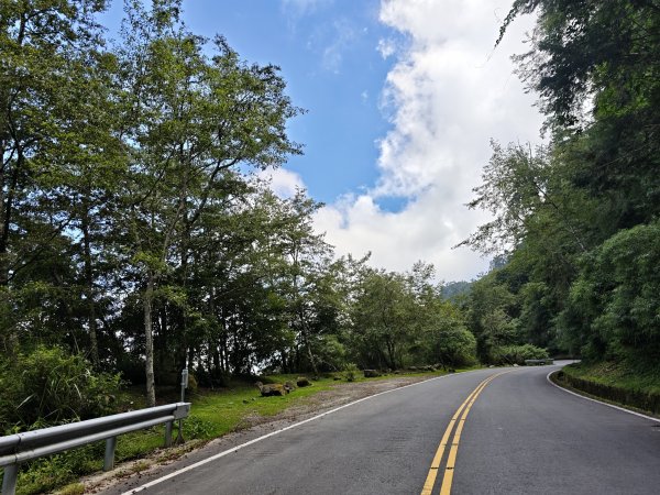 [山海圳_聖山之路_第一段] 2026_0802 自忠⮕鹿林山登山口3109091