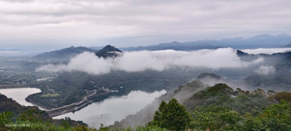 #觀音山 #林梢步道 #雲瀑 #佛陀世界 #石門水庫 5/103051078