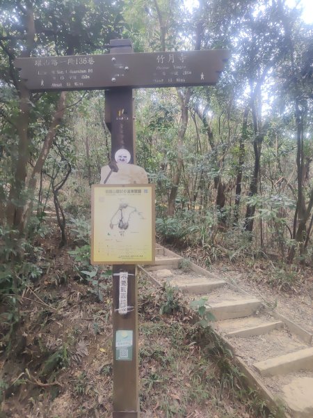 金面山親山步道2664151