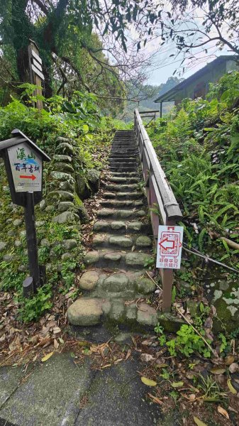 20250421聖人崙-百年古圳-大平尾山-平溪步道2783624