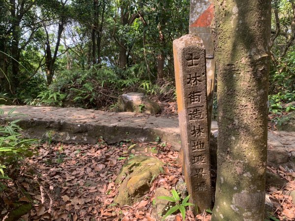 大崙頭尾山親山步道2767192