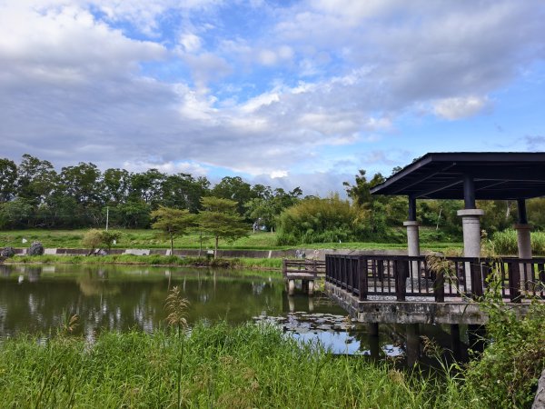 [漫遊縱谷 愛在花東-04/10] 2025_1011 羅山村竹林步道2913246