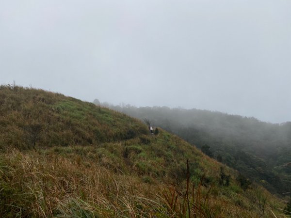 臺北大縱走-頂山石梯嶺982695