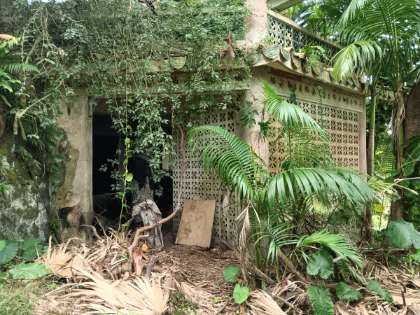 微笑山線和美山螢火蟲段2986168