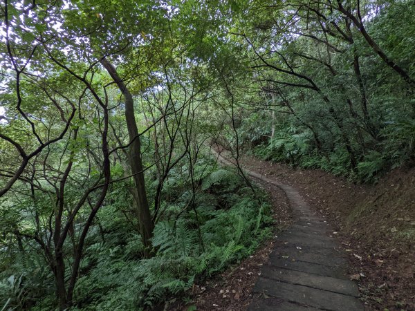 龍延宮天上山1893043