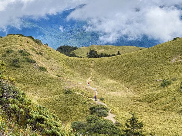 合歡北峰 下小溪營地1500214