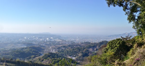 2026/02/15-后里觀音山+鳳凰山3005066
