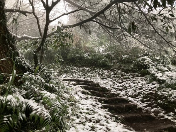 人生第一次賞雪(面天山、向天山)1246397