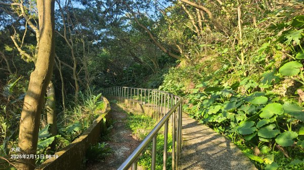 2025-0211造鎮_太極嶺_五城山小段攀爬路線2710719