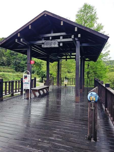 2026年臺北大縱走第七段：世界山莊至飛龍步道政大後山3032040