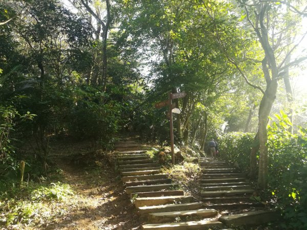 土城清水大尖山/朱財華紀念步道834007