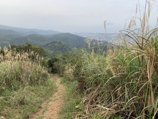 鵲子山（宜蘭礁溪）（小百岳）2530133