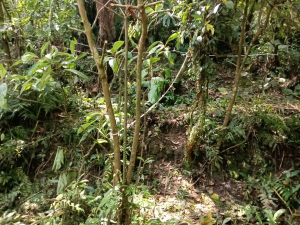 雙溪區柑腳城威惠廟+柑腳城山(下坑山)去回2796649