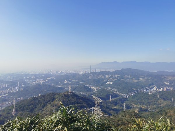 猴山岳萬壽路登山口-猴山岳-林家草厝-猴山岳山腰路-泰元農場 踽踽獨行之二2720845