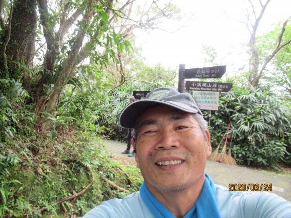 紅淡山步道907491