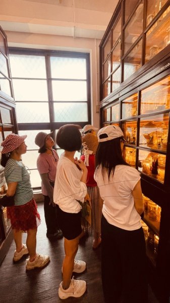 雨天備案💙 台灣博物館的古生代館-台大動植物館免費參觀-北投♨️季2807488