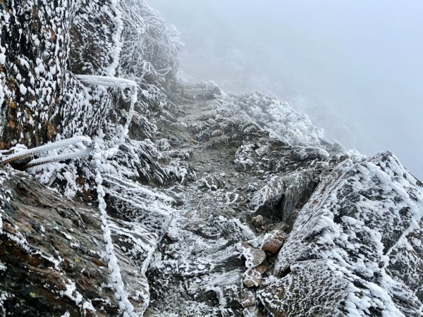 絕美銀白世界 玉山降下今年冬天「初雪」1235984