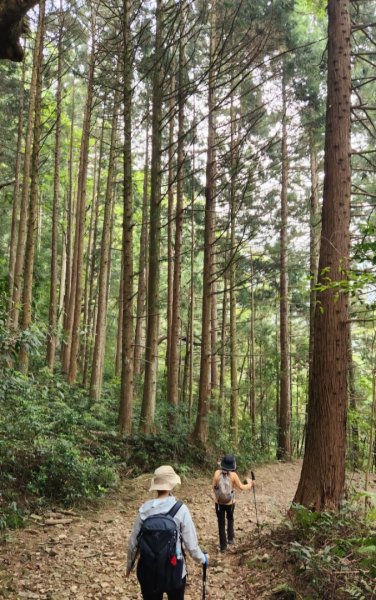 【中級山縱走】最美中級山，鳶嘴西稜縱走（鳶嘴山，醜崠山，長壽山）2741361