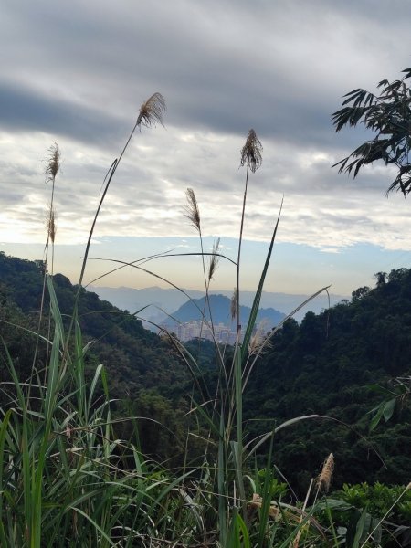 始終如一的愛心縱走