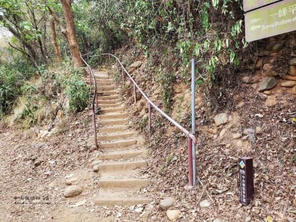 彰化縣社頭鄉~清水岩中央嶺造林步道&十八彎步道2168014