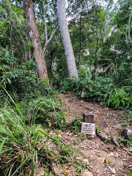 岩壁上的花、艷紅鹿子百合（22869786