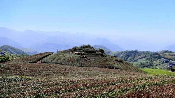 二延平步道。貿易戰2764959