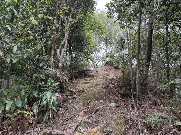 [微笑山線_第四段] 2026_0321 天上山系_石門內尖山3022064